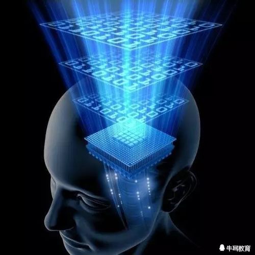 人工智能时代，掌握这些技能让你在就业市场中脱颖而出